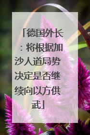 德国外长：将根据加沙人道局势决定是否继续向以方供武