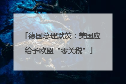 德国总理默茨：美国应给予欧盟“零关税”