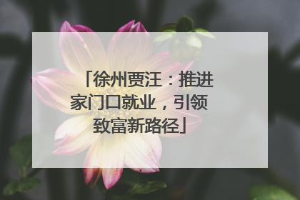 徐州贾汪：推进家门口就业，引领致富新路径