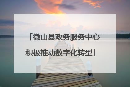 微山县政务服务中心积极推动数字化转型