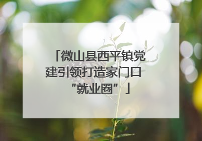 微山县西平镇党建引领打造家门口“就业圈”