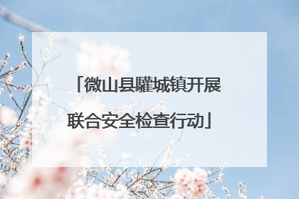 微山县驩城镇开展联合安全检查行动