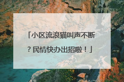 小区流浪猫叫声不断？民情快办出招啦！