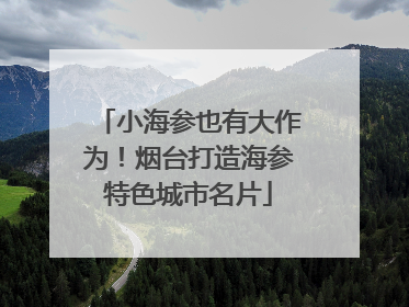 小海参也有大作为！烟台打造海参特色城市名片