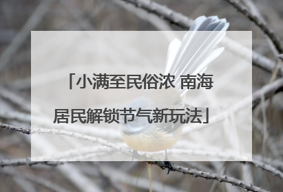 小满至民俗浓 南海居民解锁节气新玩法