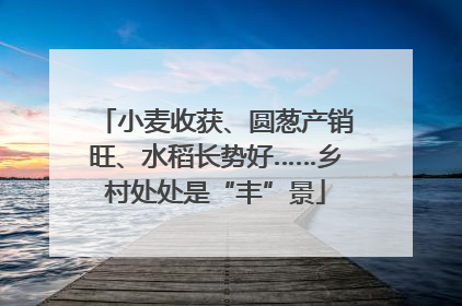 小麦收获、圆葱产销旺、水稻长势好……乡村处处是“丰”景