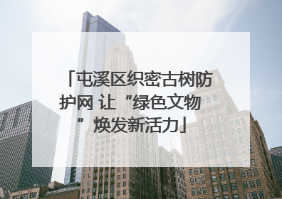 屯溪区织密古树防护网 让“绿色文物”焕发新活力