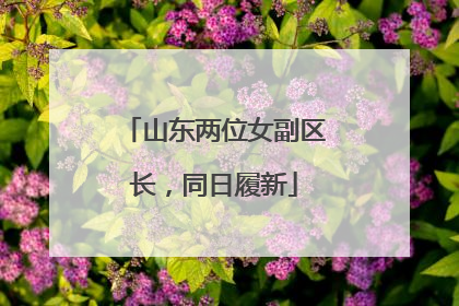 山东两位女副区长，同日履新
