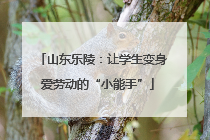 山东乐陵：让学生变身爱劳动的“小能手”