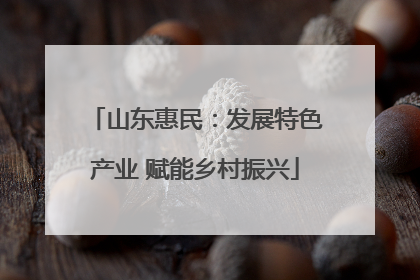 山东惠民：发展特色产业 赋能乡村振兴