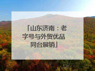 山东济南：老字号与外贸优品同台展销