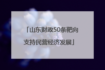 山东财政50条靶向支持民营经济发展