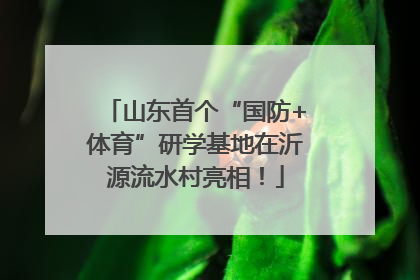 山东首个“国防+体育”研学基地在沂源流水村亮相！