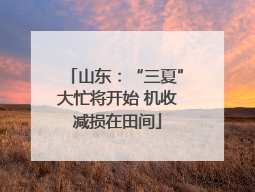 山东：“三夏”大忙将开始 机收减损在田间