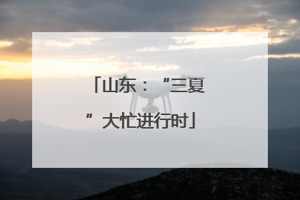山东：“三夏”大忙进行时