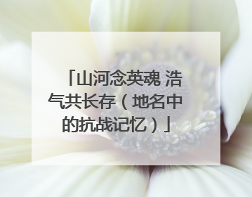 山河念英魂 浩气共长存（地名中的抗战记忆）
