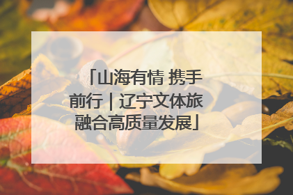 山海有情 携手前行｜辽宁文体旅融合高质量发展