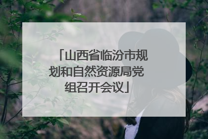 山西省临汾市规划和自然资源局党组召开会议