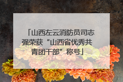 山西左云消防员司志强荣获“山西省优秀共青团干部”称号