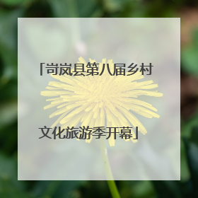 岢岚县第八届乡村文化旅游季开幕