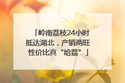 岭南荔枝24小时抵达湖北，产销两旺性价比真“给荔”