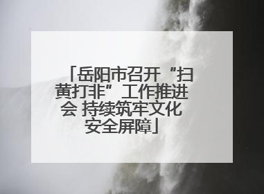 岳阳市召开“扫黄打非”工作推进会 持续筑牢文化安全屏障