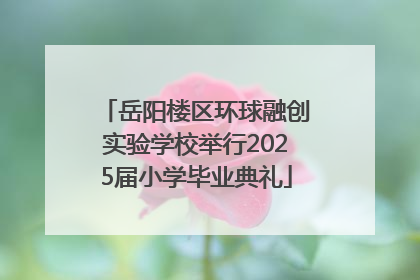 岳阳楼区环球融创实验学校举行2025届小学毕业典礼