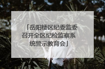 岳阳楼区纪委监委召开全区纪检监察系统警示教育会