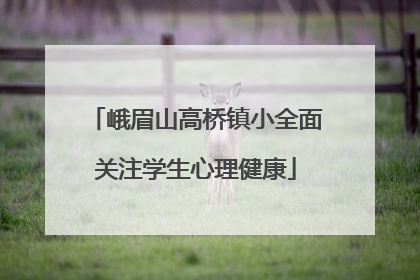 峨眉山高桥镇小全面关注学生心理健康