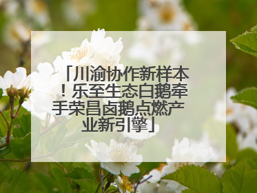川渝协作新样本！乐至生态白鹅牵手荣昌卤鹅点燃产业新引擎