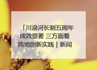 川渝河长制五周年成效显著 三方面看两地创新实践｜新闻发布最前线