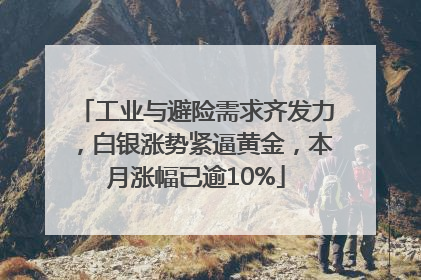 工业与避险需求齐发力，白银涨势紧逼黄金，本月涨幅已逾10%