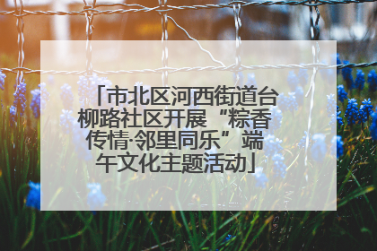市北区河西街道台柳路社区开展“粽香传情·邻里同乐”端午文化主题活动