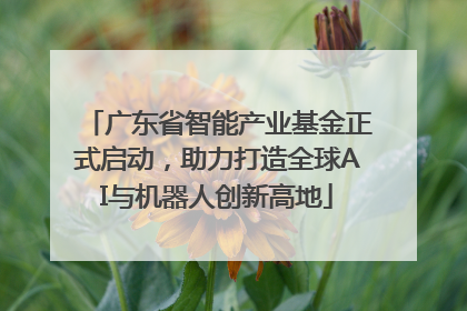 广东省智能产业基金正式启动，助力打造全球AI与机器人创新高地
