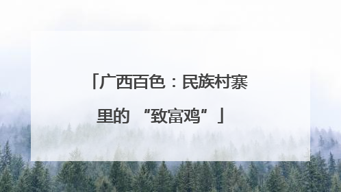 广西百色：民族村寨里的 “致富鸡”