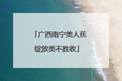 广西南宁美人蕉绽放美不胜收