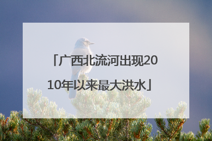广西北流河出现2010年以来最大洪水