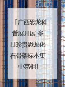 广西恐龙科普展开展 多具珍贵恐龙化石骨架标本集中亮相