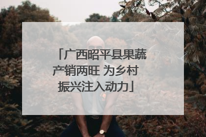 广西昭平县果蔬产销两旺 为乡村振兴注入动力