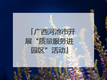 广西河池市开展“质量服务进园区”活动
