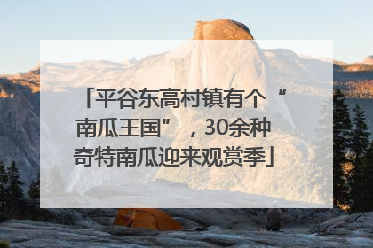 平谷东高村镇有个“南瓜王国”，30余种奇特南瓜迎来观赏季