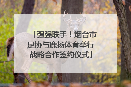 强强联手！烟台市足协与鹿扬体育举行战略合作签约仪式