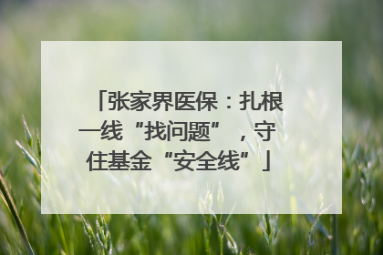 张家界医保：扎根一线“找问题”，守住基金“安全线”