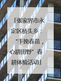 张家界市永定区桥头乡：“手挽春苗，心耕田野”春耕体验活动