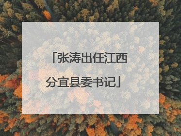 张涛出任江西分宜县委书记