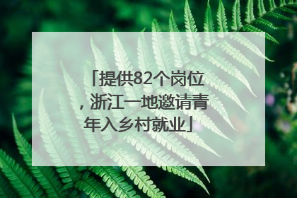 提供82个岗位，浙江一地邀请青年入乡村就业