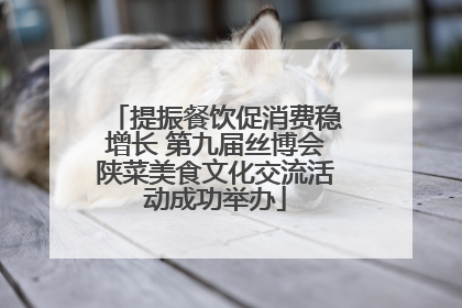 提振餐饮促消费稳增长 第九届丝博会陕菜美食文化交流活动成功举办
