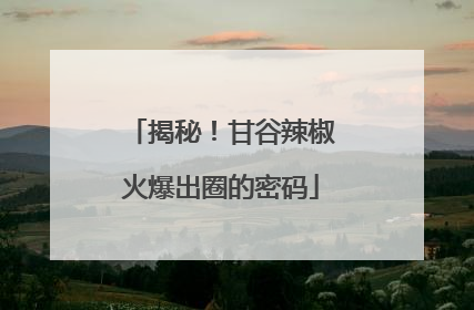 揭秘！甘谷辣椒火爆出圈的密码