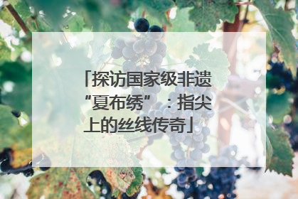 探访国家级非遗“夏布绣”：指尖上的丝线传奇