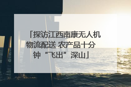 探访江西南康无人机物流配送 农产品十分钟“飞出”深山